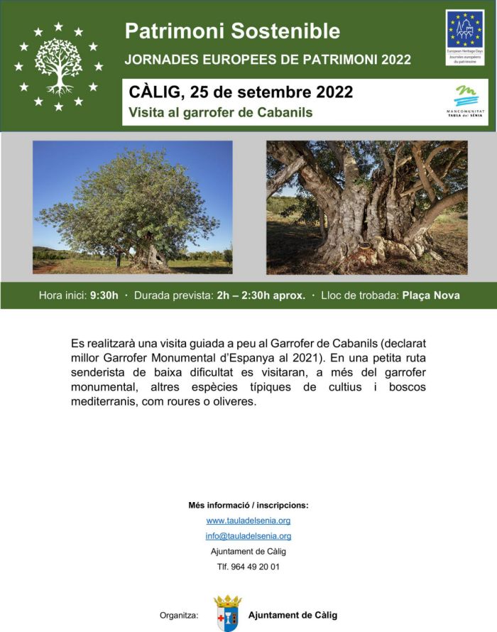 Visita guiada al garrofer monumental de Cabanils de C�lig
