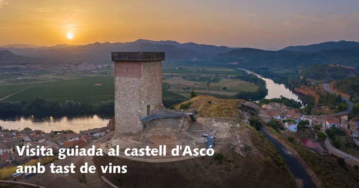 Visita guiada al Castillo de Asc� con cata de vinos