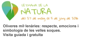 Oliveres mil�len�ries: respecte, emocions i simbologia de les velles soques