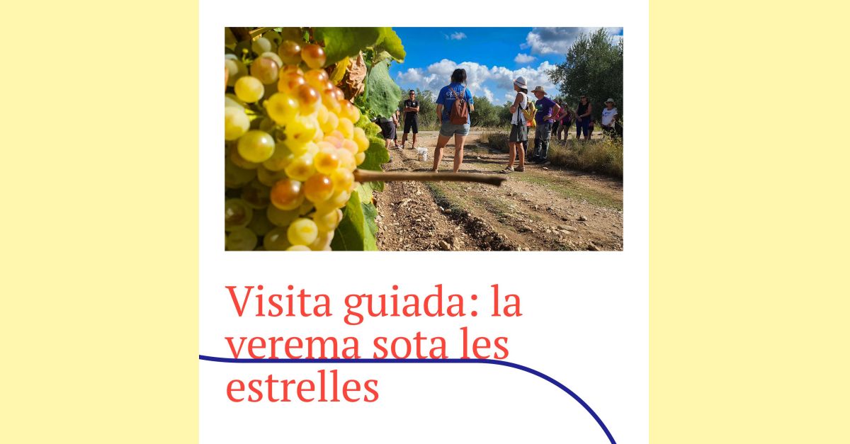 Visita guiada: La vend�mia bajo las estrellas