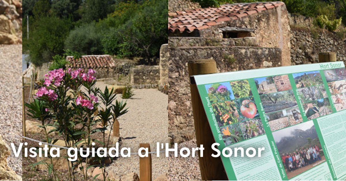 Visita guiada a l�Hort Sonor
