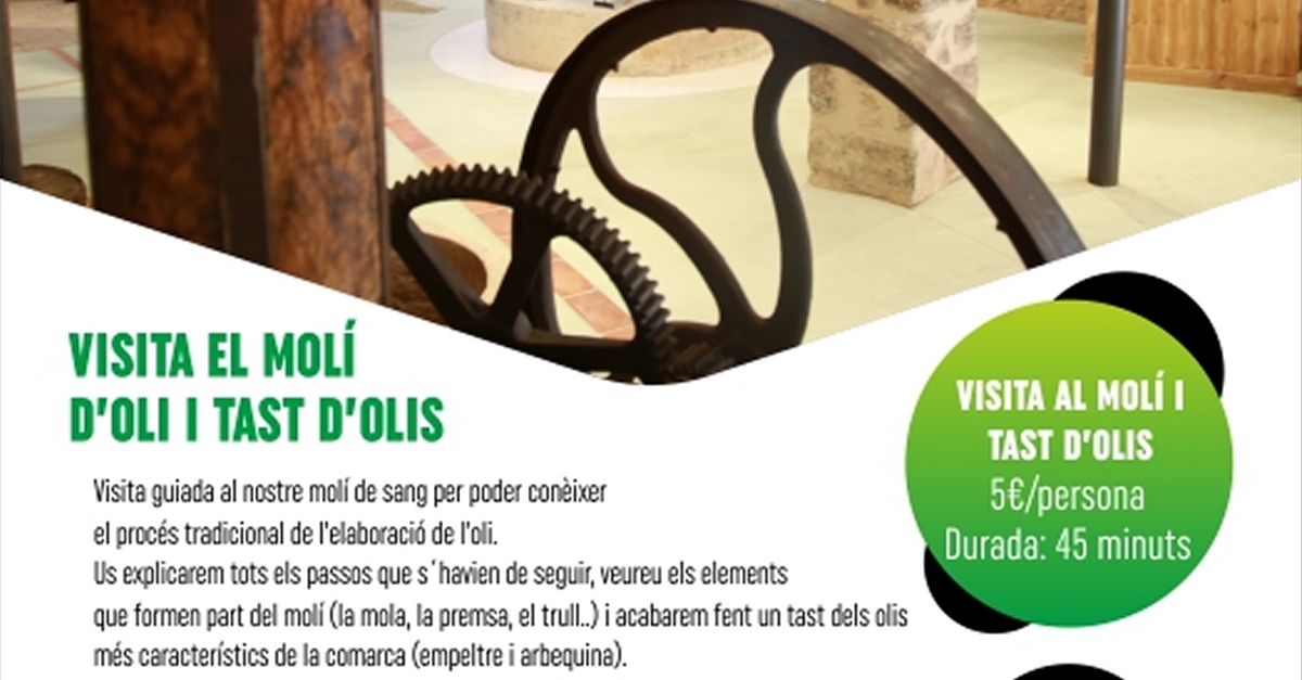 Visita al Mol� d�oli de Bot i tast d�olis terraltins