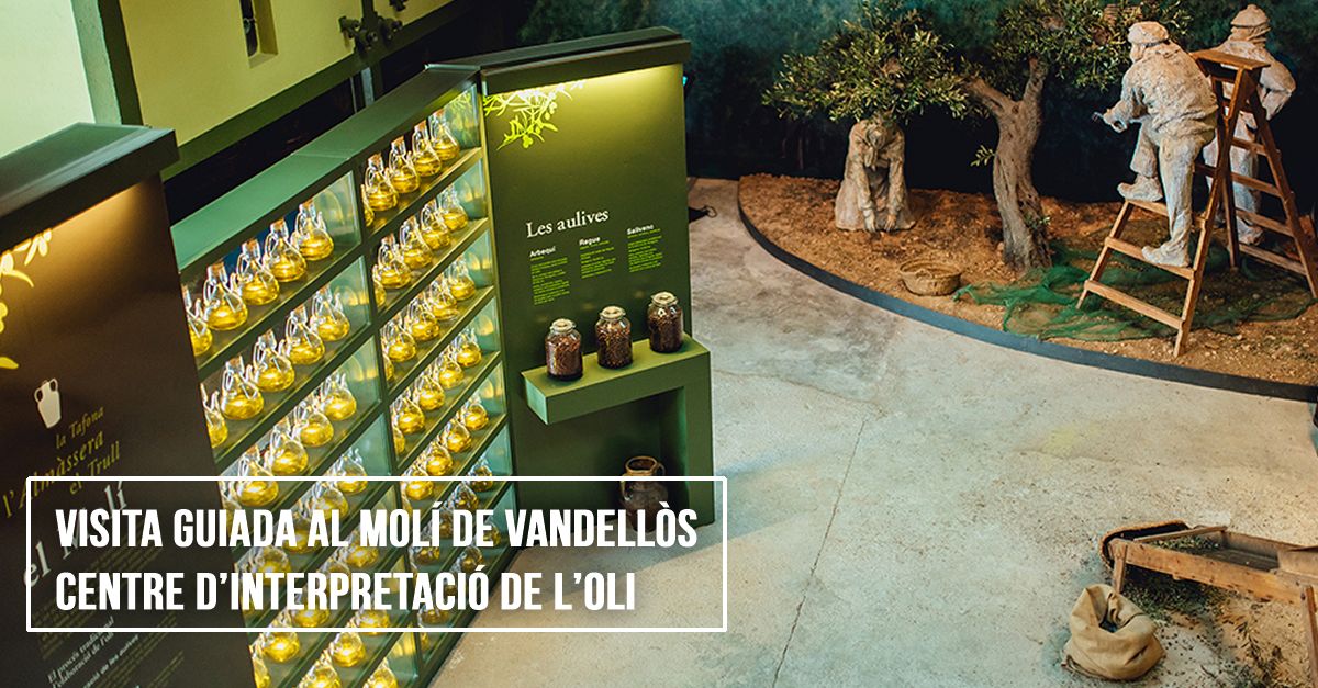 Visita guiada al Molino de Vandell�s. Centro de Interpretaci�n del Aceite