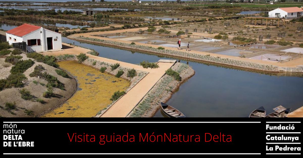 Visita guiada M�nNatura Delta: Visita guiada al centre acompanyats d�un guia local