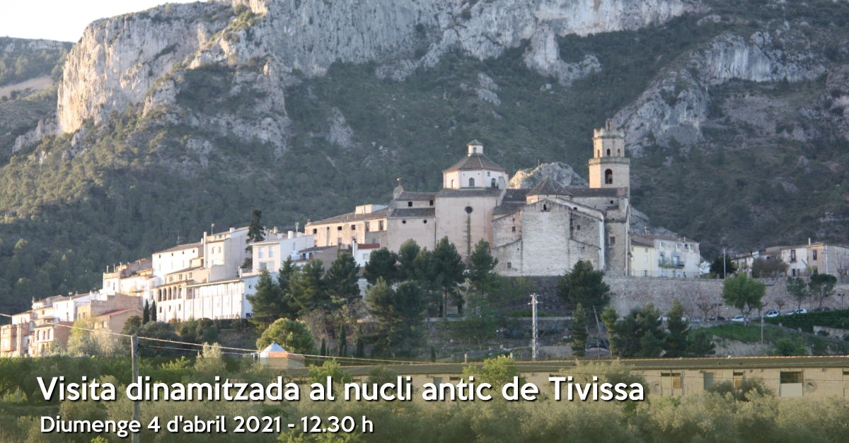 Visita dinamitzada al nucli antic de Tivissa Visita dinamitzada al nucli antic de Tivissa