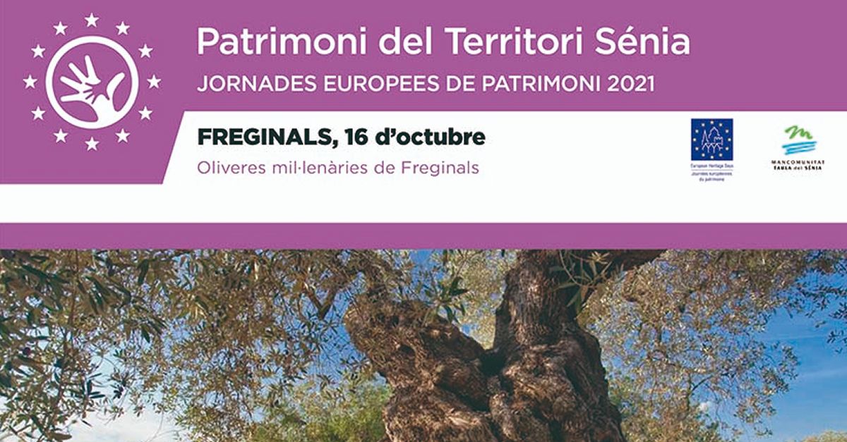 Patrimonio Territorio S�nia: Visita a los olivos milenarios de Freginals