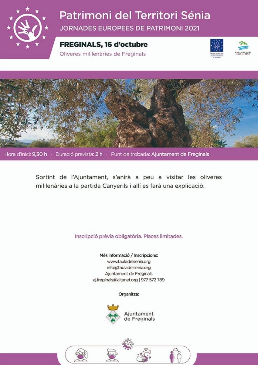 Patrimoni Territori Sénia: Visita a les oliveres mil·lenàries de Freginals Patrimoni Territori Sénia: Visita a les oliveres mil·lenàries de Freginals