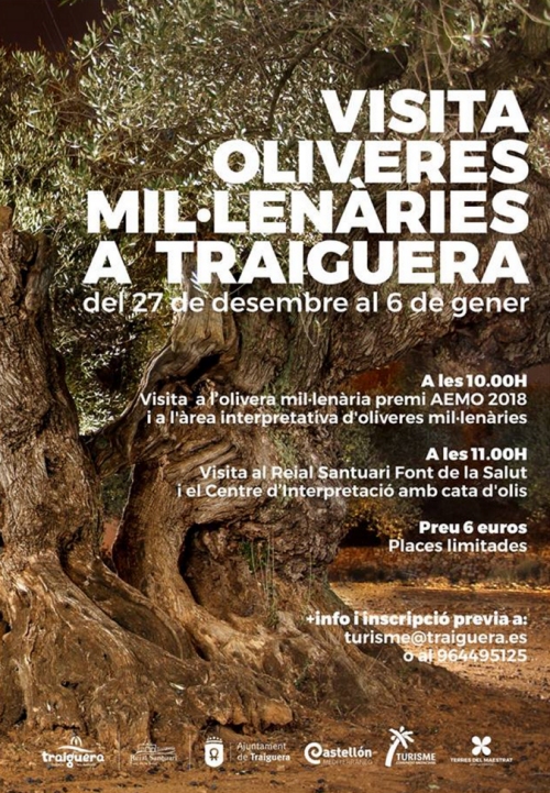 Visita oliveres mil·lenàries a Traiguera Visita oliveres mil·lenàries a Traiguera