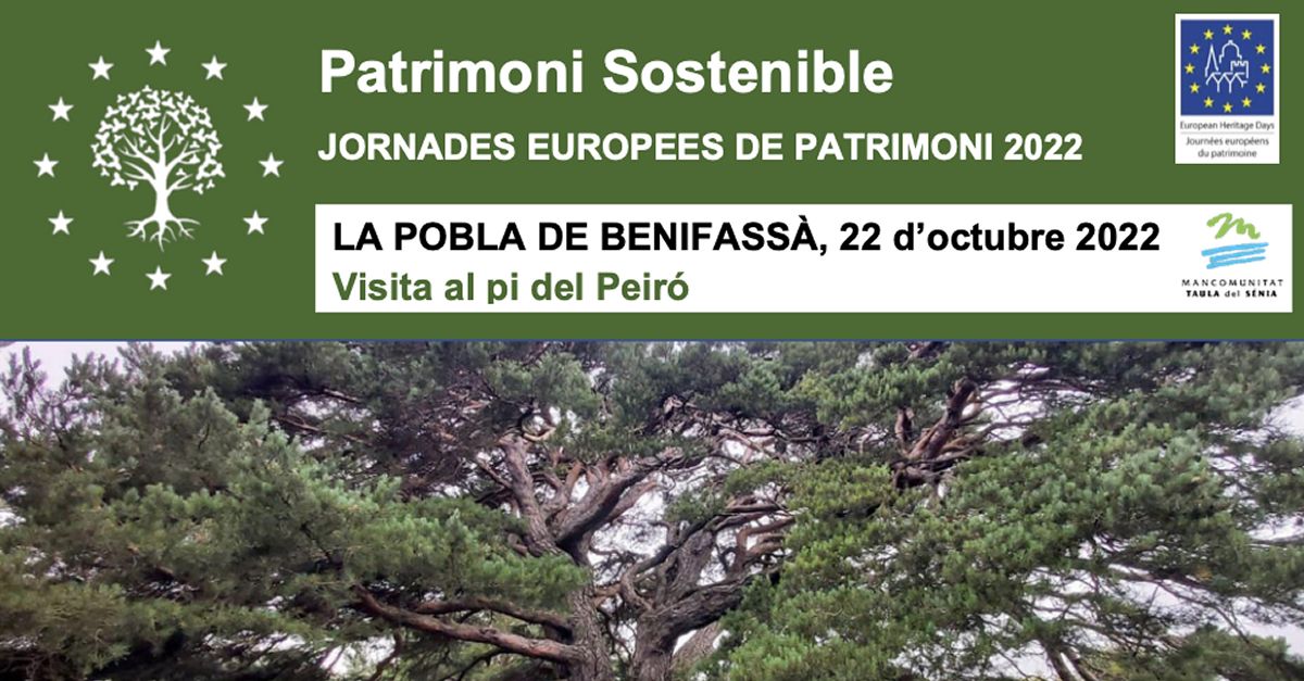 JEP2022 - Visita al pino del Peir�