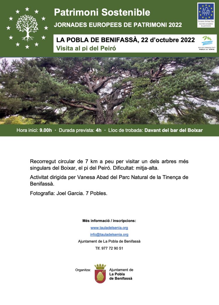 JEP2022 - Visita al pi del Peiró JEP2022 - Visita al pi del Peiró