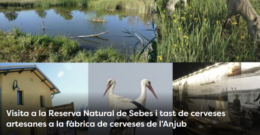 Setmana de la Natura: Visita a la Reserva Natural de Sebes Setmana de la Natura: Visita a la Reserva Natural de Sebes