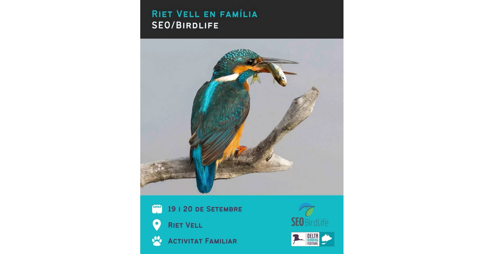 Visita a Riet Vell (activitat familiar)