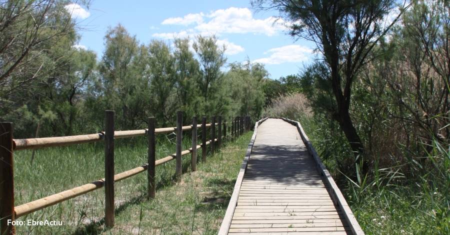 Visita a la Reserva Natural de Sebes Visita a la Reserva Natural de Sebes