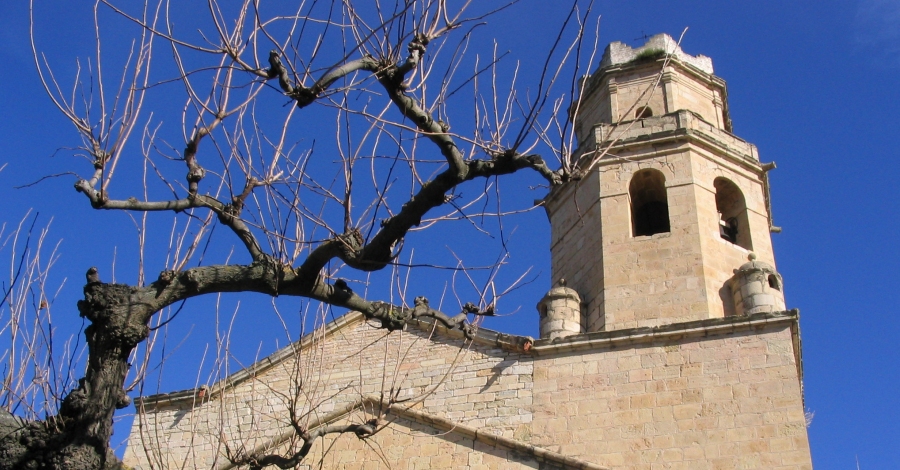 A Tivissa fem hist�ria! Visita dinamitzada al nucli antic