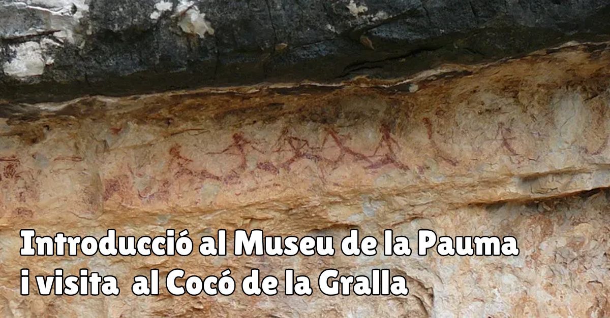Introducci� al Museu de la Pauma + visita guiada a les pintures