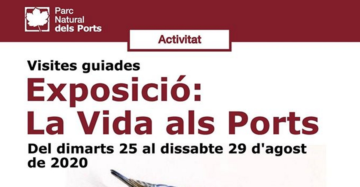 Visites guiades a l�exposici� La vida als Ports
