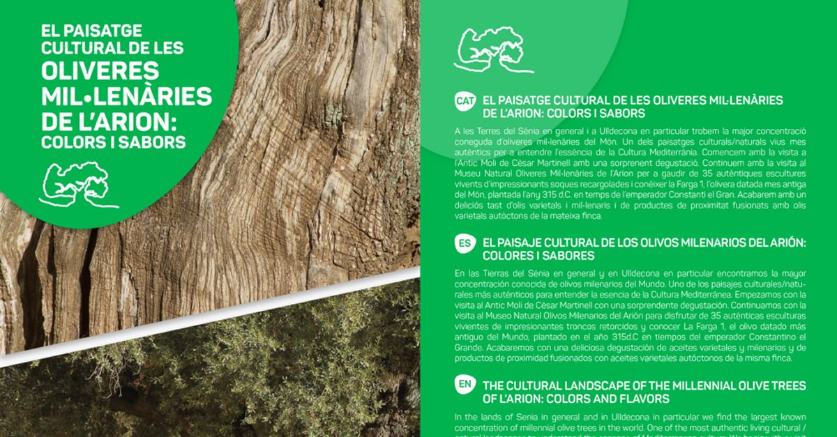 Visitas guiadas a los olivos milenarios de l’Arion de Ulldecona Visitas guiadas a los olivos milenarios de l’Arion de Ulldecona