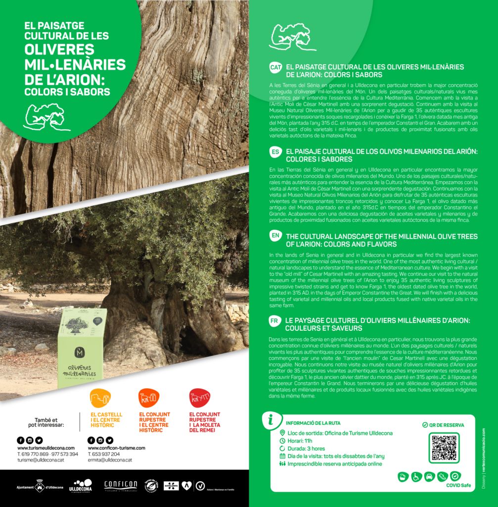 Visites guiades a les oliveres mil�len�ries de l&rsquo;Arion d&rsquo;Ulldecona