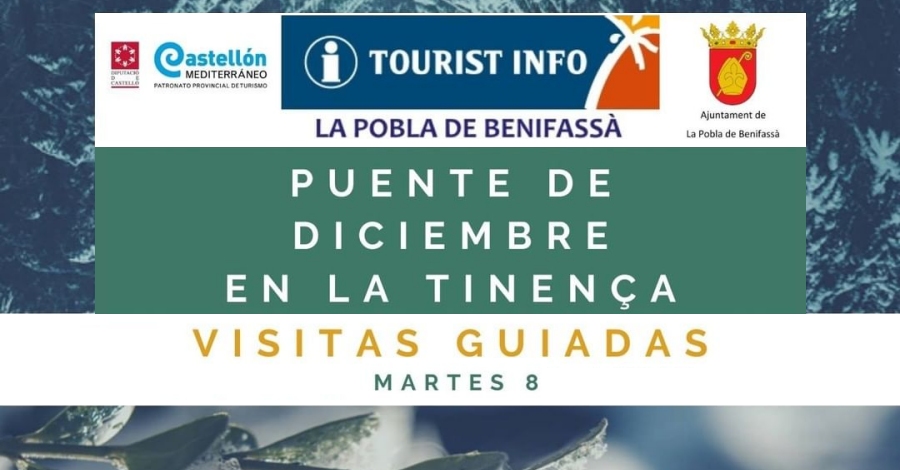 Visitas guiadas Arte Milenario y pinturas rupestres en la Pobla de Benifass�