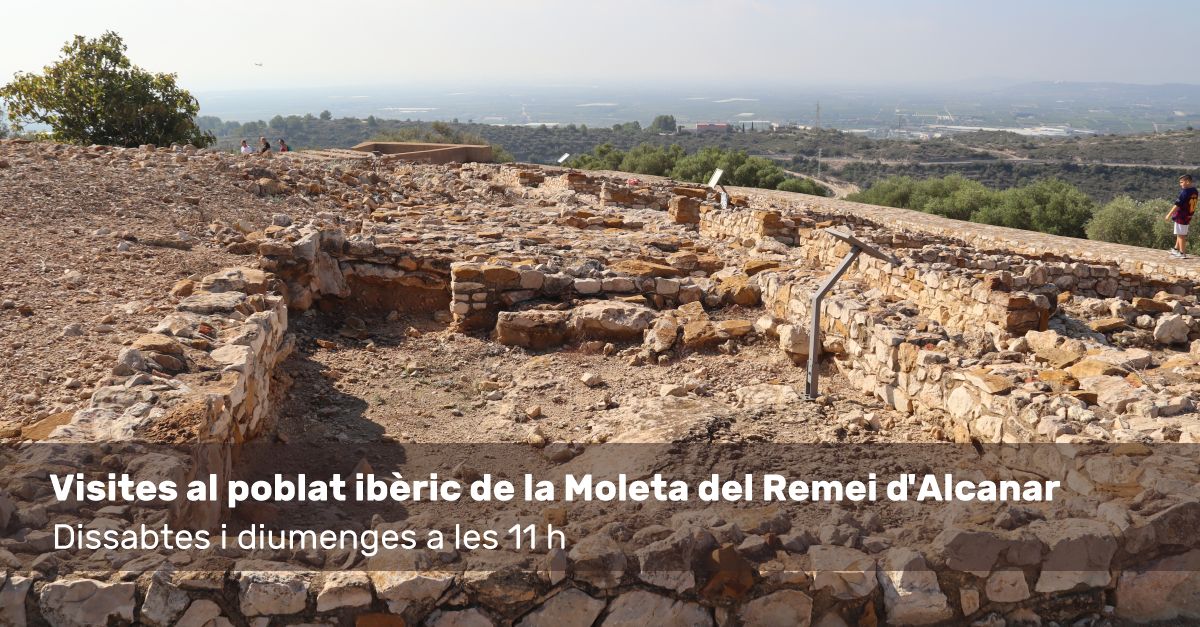 Visita al poblat ib�ric de la Moleta del Remei d&rsquo;Alcanar