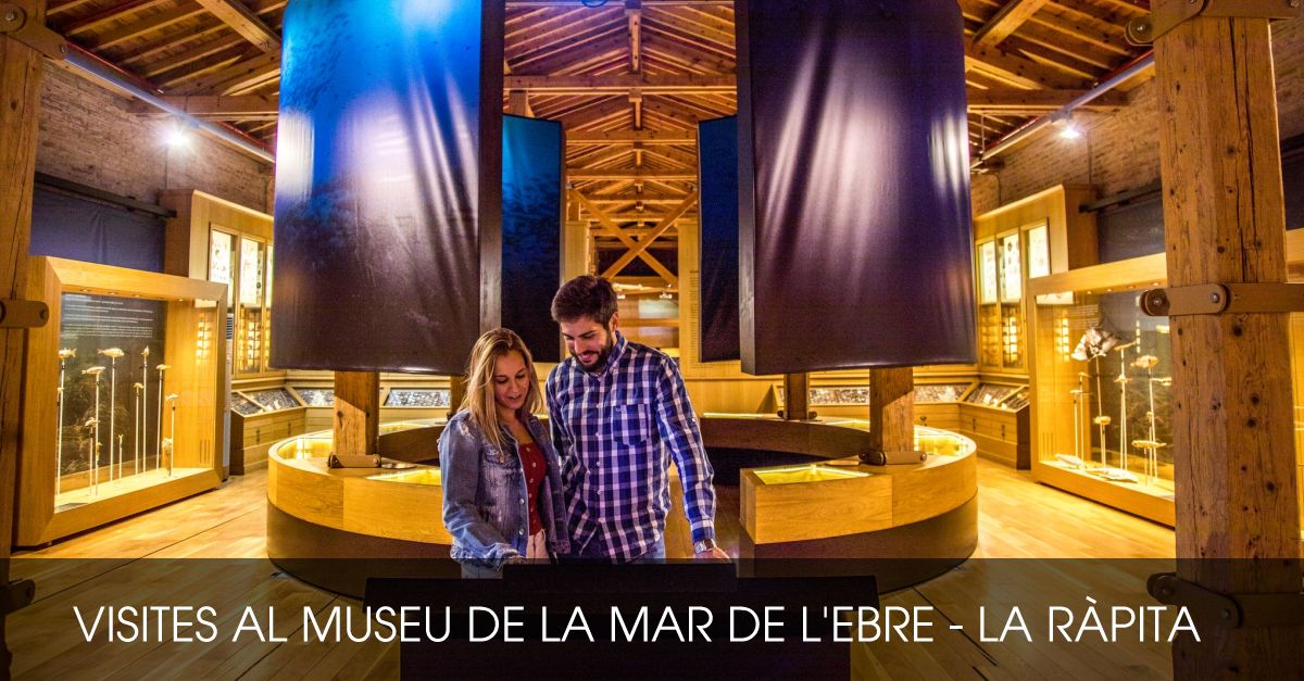 Visites al Museu de la Mar de l&rsquo;Ebre