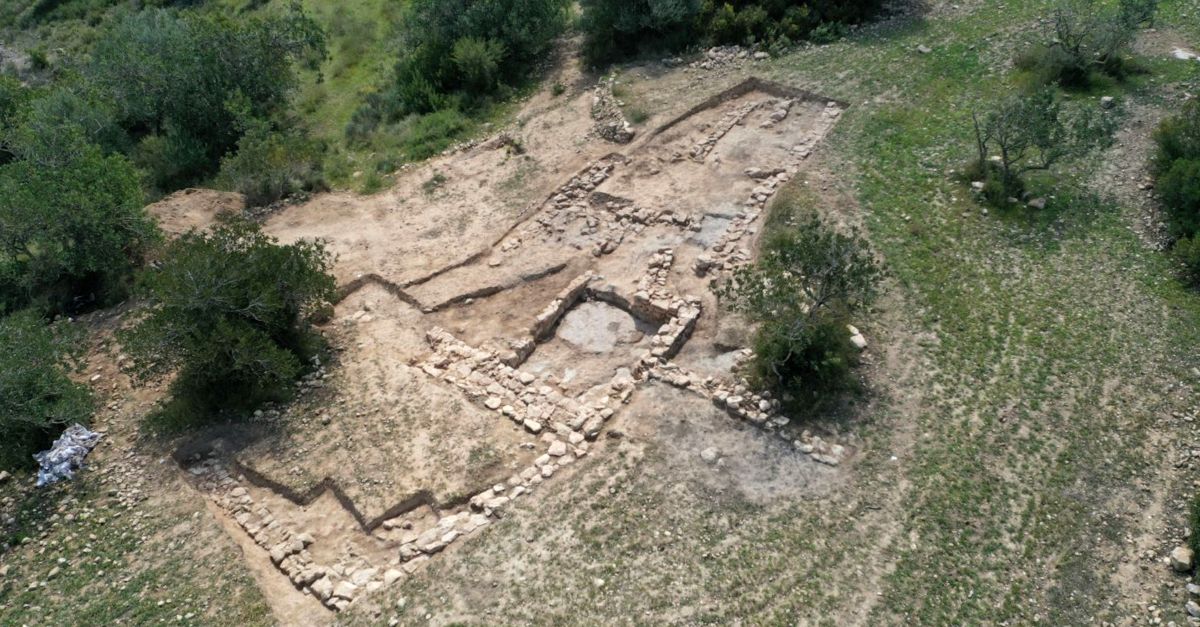 Les restes orgniques trobades als Tossals d’Aldover indicarien una possible activitat ramadera | EbreActiu.cat, revista digital d’oci actiu | Terres de l’Ebre ...