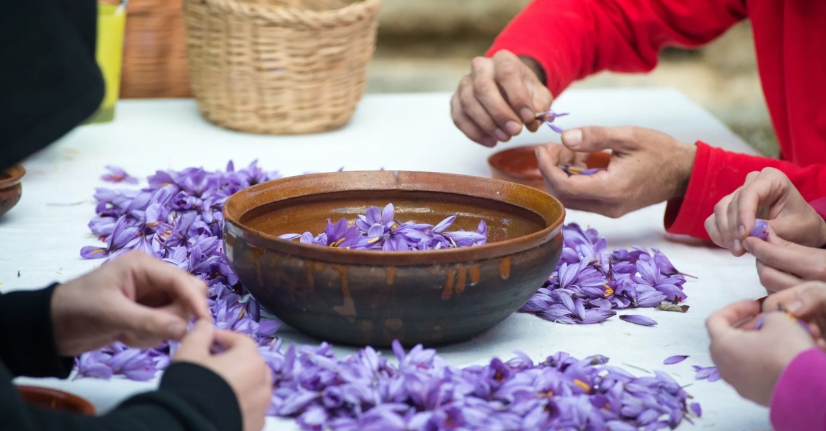 VIU ELS PORTS. Cultura, turisme i educació | EbreActiu.cat, revista digital d’oci actiu | Terres de l’Ebre ... VIU ELS PORTS. Cultura, turisme i educació | EbreActiu.cat, revista digital d’oci actiu | Terres de l’Ebre ...