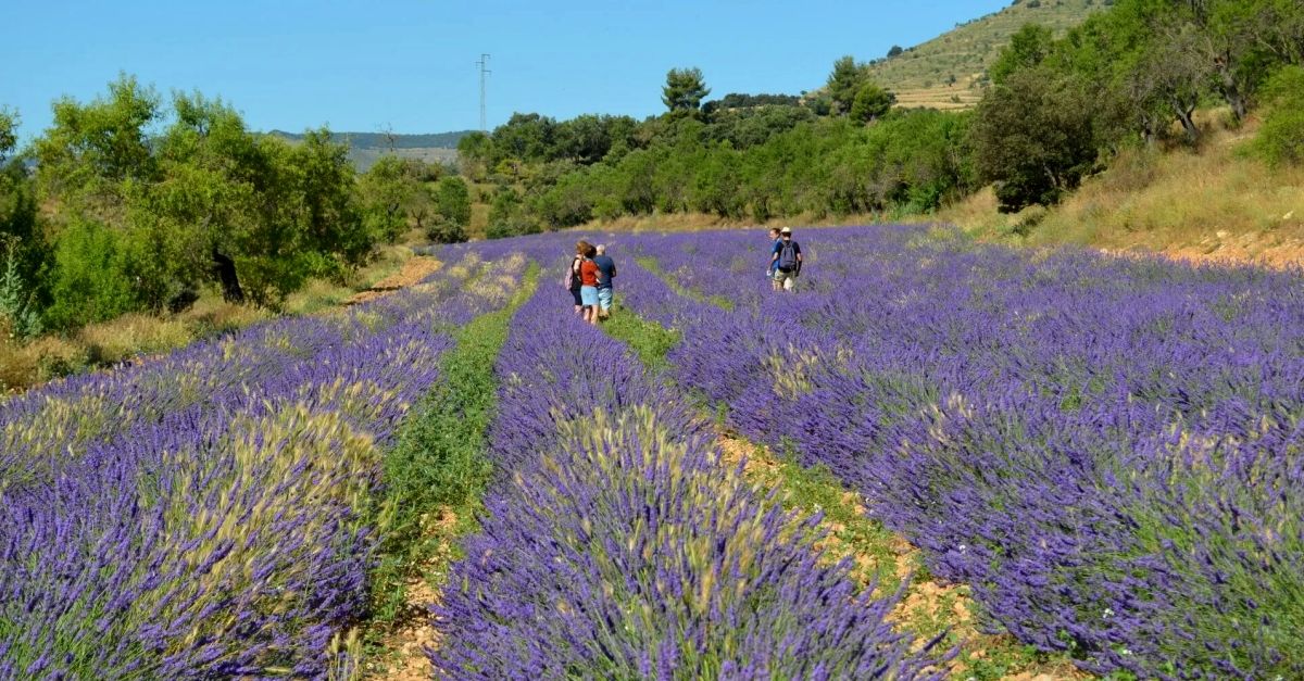 VIU ELS PORTS. Cultura, turisme i educació | EbreActiu.cat, revista digital d’oci actiu | Terres de l’Ebre ... VIU ELS PORTS. Cultura, turisme i educació | EbreActiu.cat, revista digital d’oci actiu | Terres de l’Ebre ...