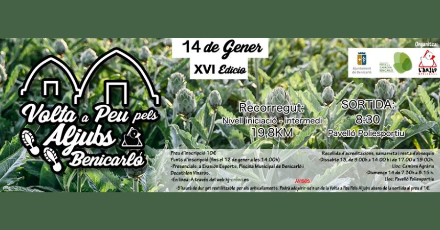 Volta a peu pels aljubs de Benicarló Volta a peu pels aljubs de Benicarló