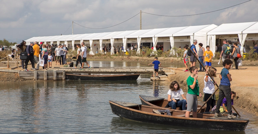 Vols ser voluntari del DeltaBirding Festival 2018?