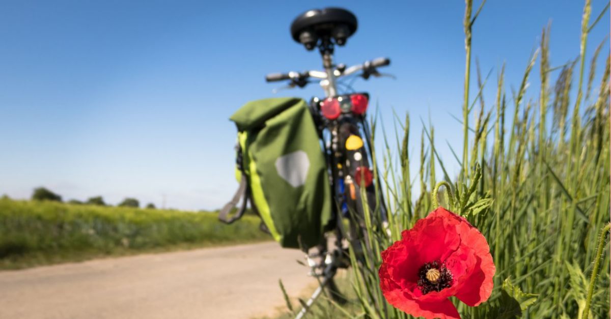 La Diputació de Tarragona aprova l’ampliació de la Via Verda entre Tortosa i la Ràpita i la variant d’Ulldecona | EbreActiu.cat, revista digital d’oci actiu | Terres de l’Ebre ... La Diputació de Tarragona aprova l’ampliació de la Via Verda entre Tortosa i la Ràpita i la variant d’Ulldecona | EbreActiu.cat, revista digital d’oci actiu | Terres de l’Ebre ...