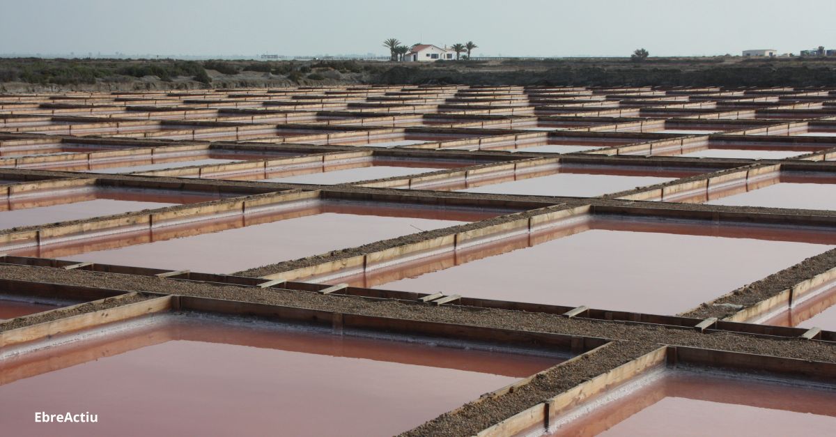 La Xarxa Espanyola de Reserves de la Biosfera reconeix el comproms mediambiental de les Salines de la Trinitat | EbreActiu.cat, revista digital d’oci actiu | Terres de l’Ebre ...