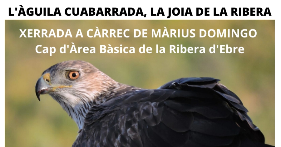 Charla: El �guila perdicera, la joya de la Ribera d�Ebre