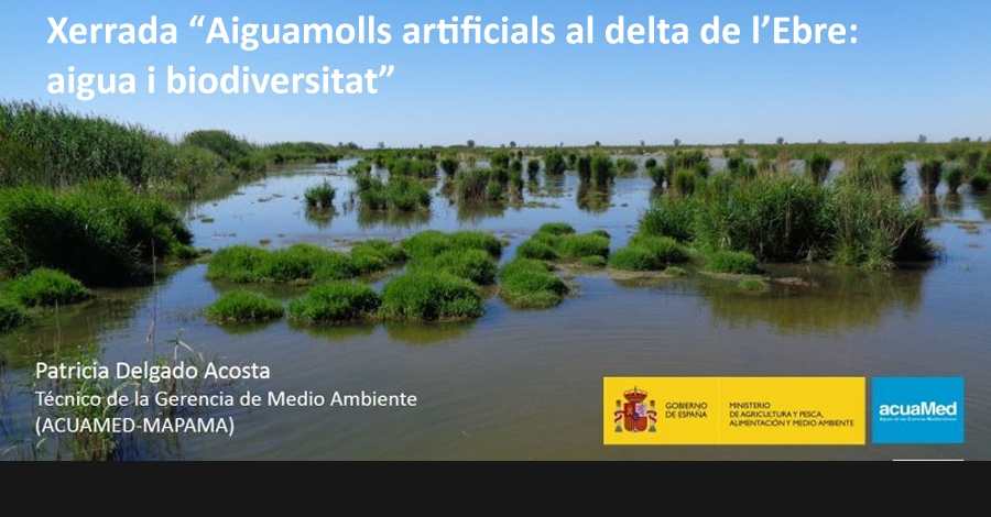 errada "Aiguamolls artificials al delta de l�Ebre: aigua i biodiversitat"