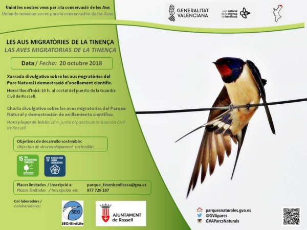 Xerrada: Les aus migratòries de la Tinença Xerrada: Les aus migratòries de la Tinença