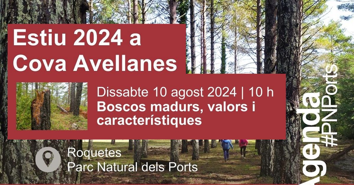 Xerrada: Boscos madurs, valors i caracter�stiques