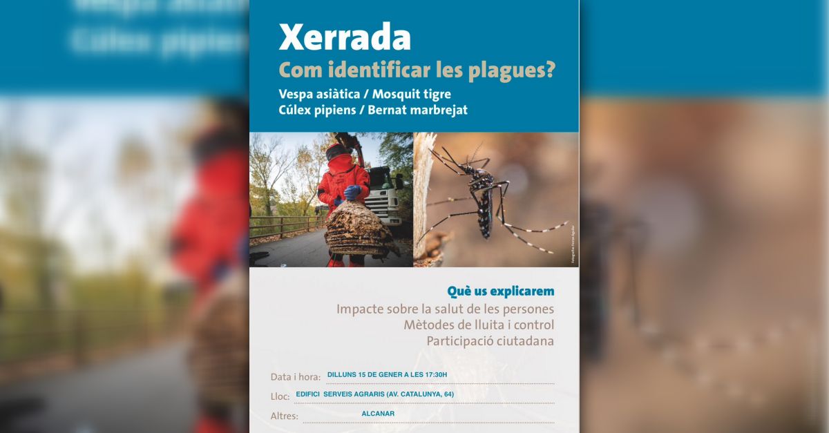 Xerrada �Com identificar les plagues�