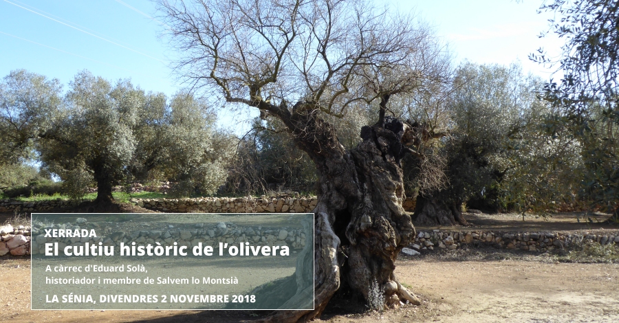 Xerrada: El cultiu històric de l’olivera Xerrada: El cultiu històric de l’olivera