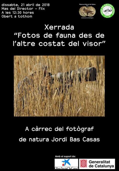 Xerrada: Fotos de fauna des de l’altre costat del visor Xerrada: Fotos de fauna des de l’altre costat del visor