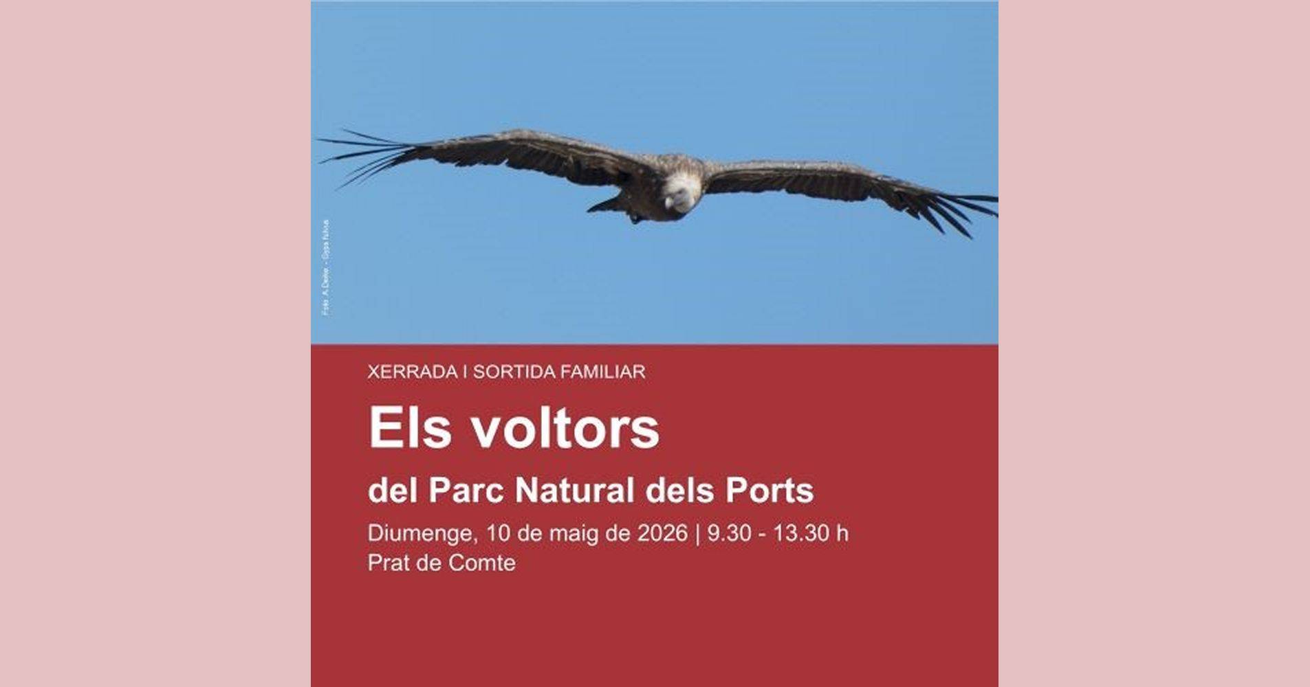 Xerrada i sortida familiar �Els voltors del Parc Natural dels Ports�