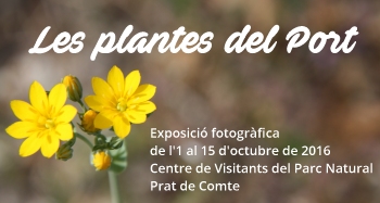 Xerrada i Exposició fotogràfica: Les Plantes dels Ports Xerrada i Exposició fotogràfica: Les Plantes dels Ports