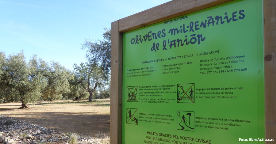 Xerrada: “Oliveres Mil·lenàries: herència del passat i oportunitats de futur” Xerrada: “Oliveres Mil·lenàries: herència del passat i oportunitats de futur”