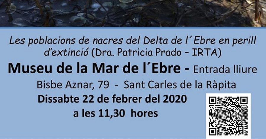 Xerrada: Les poblacions de nacres del Delta de l�Ebre en perill d�extinci�