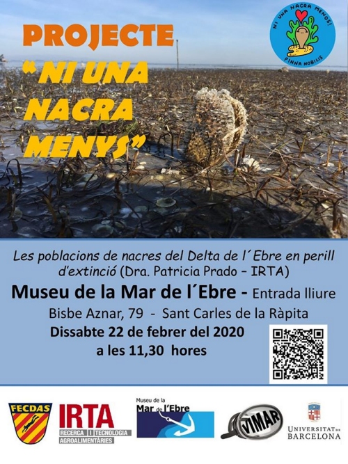 Xerrada: Les poblacions de nacres del Delta de l�Ebre en perill d�extinci�