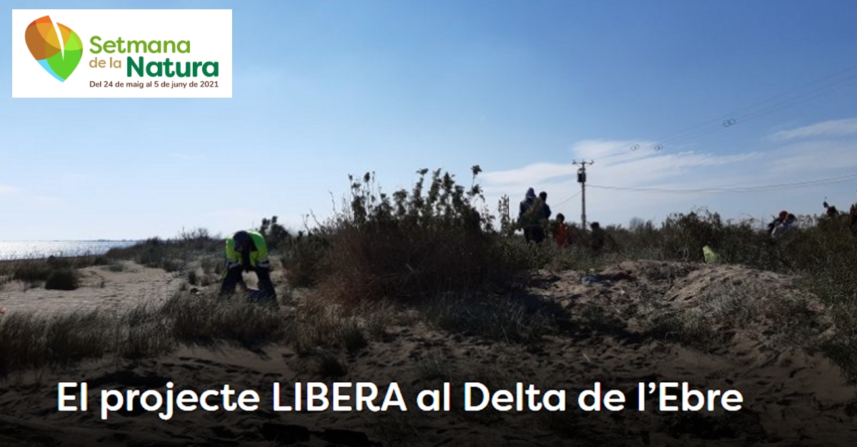 Xerrada: El projecte LIBERA al Delta de l�Ebre - #SetmanaNatura2021