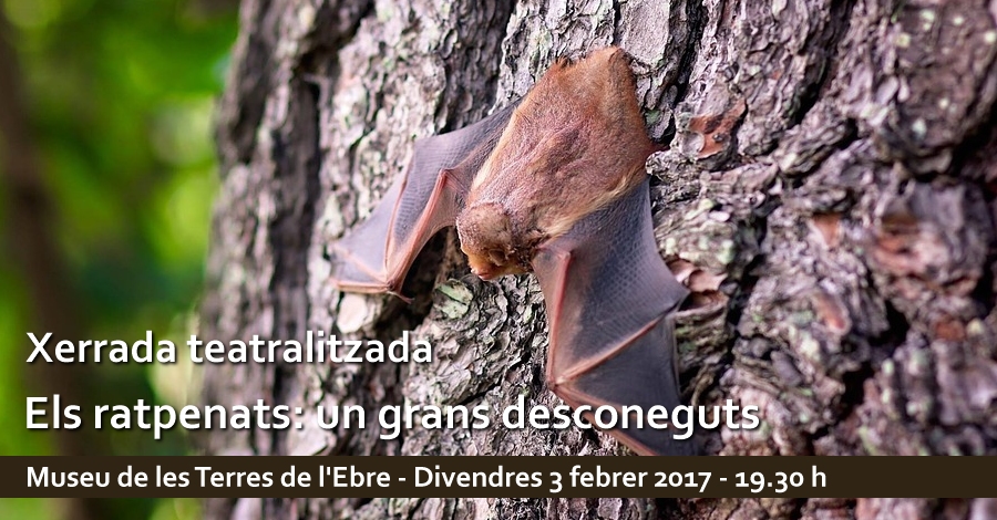 Xerrada teatralitzada sobre «Els ratpenats: un grans desconeguts» Xerrada teatralitzada sobre «Els ratpenats: un grans desconeguts»