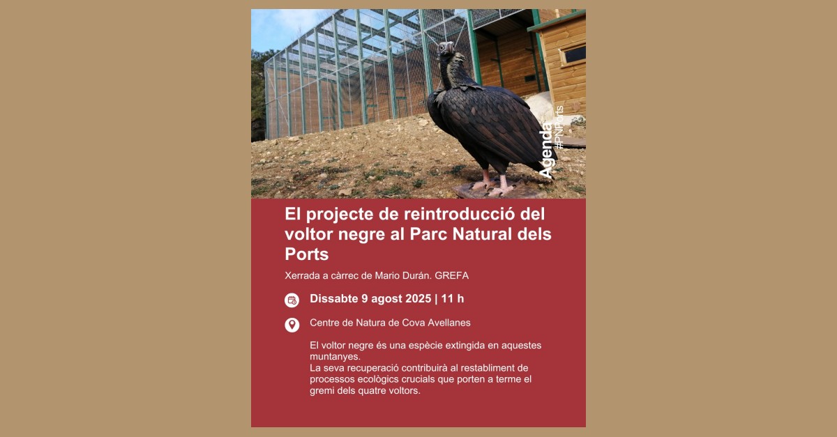 Charla: Proyecto de reintroduccin del buitre negro en el Parque Natural dels Ports