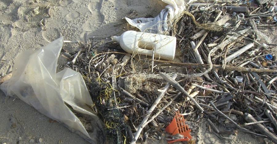 Charla "Sense blau no hi ha verd: la problem�tica de la brossa marina al delta de l&rsquo;Ebre"