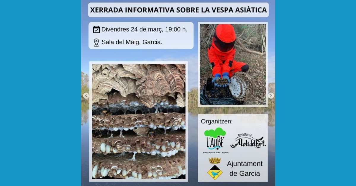 Xerrada informativa sobre la vespa asiàtica Xerrada informativa sobre la vespa asiàtica
