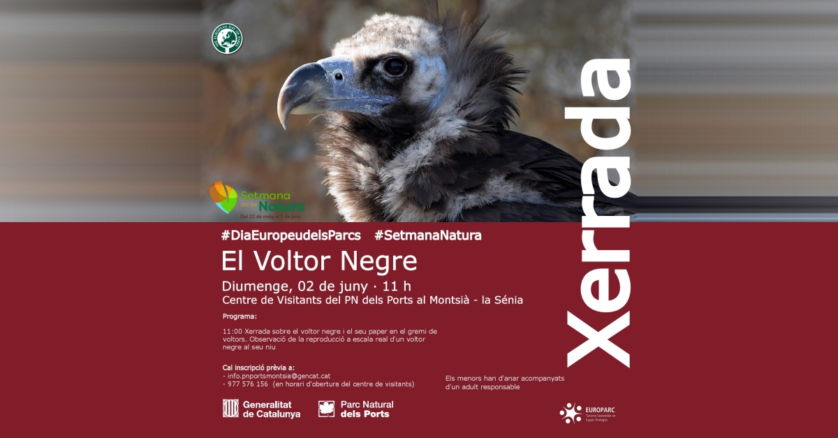 Xerrada: El voltor negre Xerrada: El voltor negre